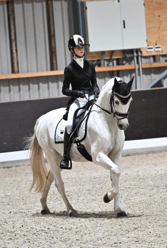 Opzoek naar een Leasepaard junioren Z2, Dieren en Toebehoren, Paarden, Merrie, Dressuurpaard