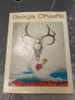 Georgia O'Keeffe Boek, Ophalen of Verzenden, Gelezen, Fotografen, Georgia O'Keeffe