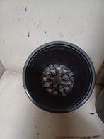 Kweekpotten 13 cm, Kunststof, Gebruikt, Rond, Ophalen of Verzenden