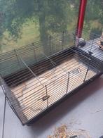 Te koop, Kooi, Gebruikt, Ophalen, Minder dan 60 cm