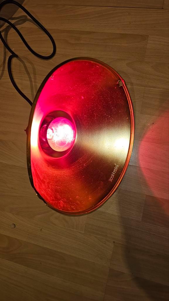 Interheat Warmtelamp met Rode Warmtelamp, kuikens ed, Dieren en Toebehoren, Pluimvee | Toebehoren, Overige typen, Ophalen