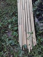 Bamboe Bonenstaken - 270cm, Ophalen, Zo goed als nieuw, 250 cm of meer, Palen
