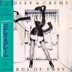 GODLEY & CREME CD BRIDS OF PREY japan + obi + BONUS TRACKS, Ophalen of Verzenden, 1980 tot 2000, Zo goed als nieuw