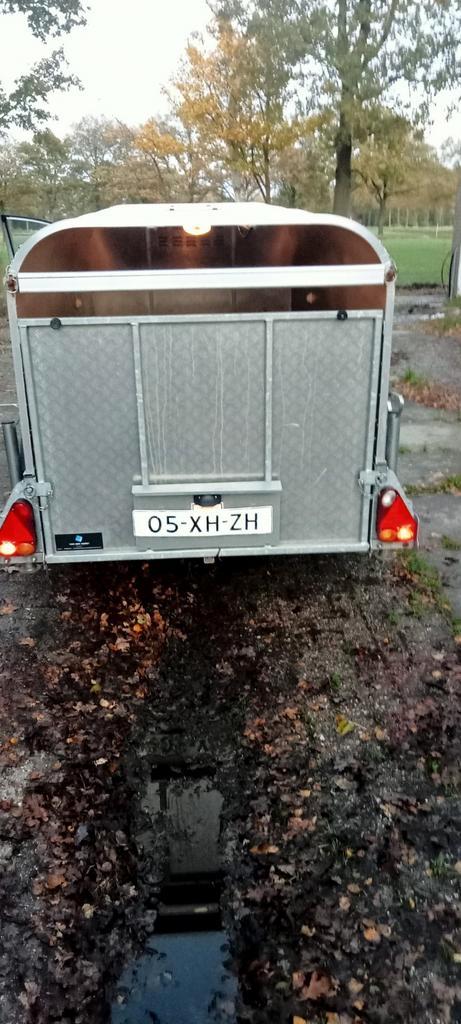 te koop SCHAPEN KALVEREN ifor williams kleinvee Pe7 trailer, Dieren en Toebehoren, Schapen, Geiten en Varkens, Schaap, Meerdere dieren