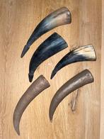 Nieuwe PS Plastic Hoorns - Multi Inzetbaar, Antiek en Kunst, Ophalen of Verzenden