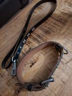 Zwarte halsband + korte riem, Dieren en Toebehoren, Ophalen