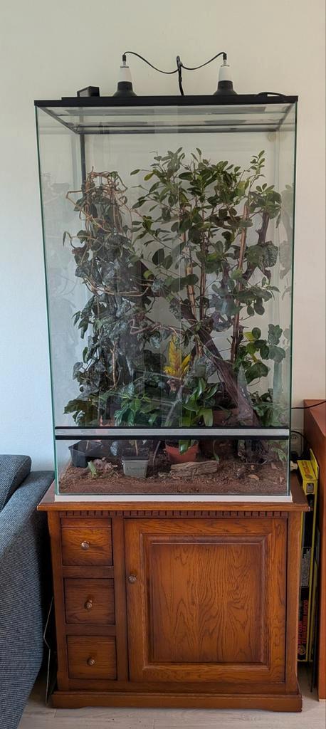 Terrarium 75 x 50 x 120 (B x D x H), Dieren en Toebehoren, Reptielen en Amfibieën | Toebehoren, Gebruikt, Terrarium of Paludarium