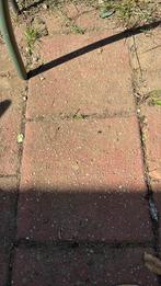 Rode stoeptegels (+/- 85 stuks), Ophalen, Gebruikt, 5 tot 10 m², Beton