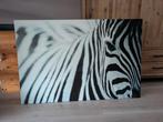 Canvas Zebra Ikea 78x118, Ophalen