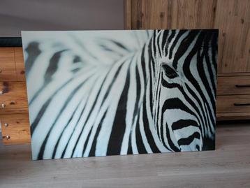 Canvas Zebra Ikea 78x118 beschikbaar voor biedingen