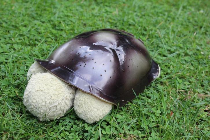 nachtlampje Schildpad, Kinderen en Baby's, Kinderkamer | Inrichting en Decoratie, Gebruikt, Lamp, Ophalen of Verzenden
