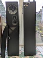 Set prachtige T+A Criterion T110E zuil luidsprekers, Audio, Tv en Foto, Luidsprekers, Gebruikt, 120 watt of meer, Front, Rear of Stereo speakers