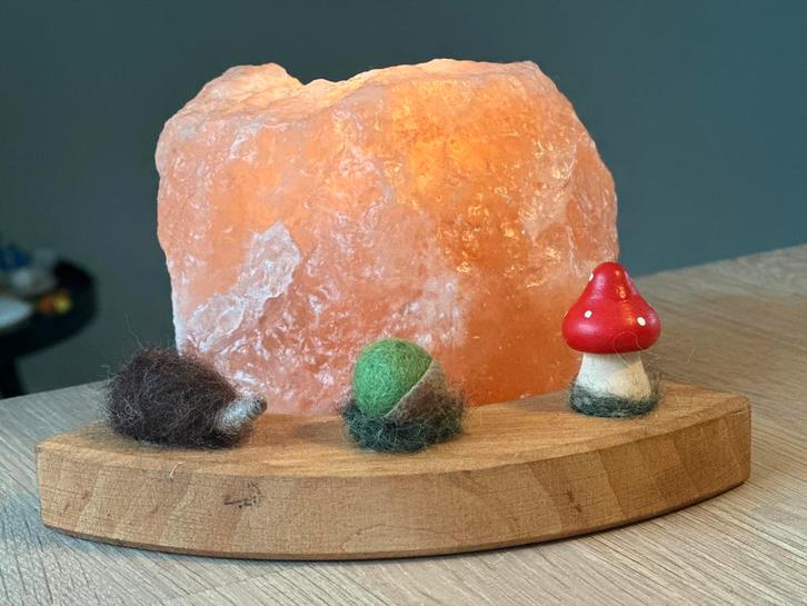 Egel & eikel & paddenstoel steker grimms jaarring herfst wol, Hobby en Vrije tijd, Vilt, Nieuw, Figuurtje(s), Wolvilt, Ophalen of Verzenden