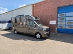 Renault Master 2025 STX paardenwagen hengsten uitvoering, Gebruikt, Overige typen