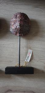 schild schildpad deco nep op staander, Verzamelen, Ophalen of Verzenden, Nieuw, Overige typen