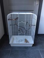 Grote vogelkooi, Dieren en Toebehoren, Ophalen of Verzenden, Zo goed als nieuw, Metaal, Vogelkooi