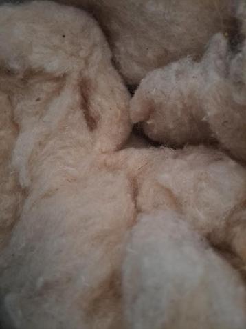 Zak Schapenwol - Goede Kwaliteit beschikbaar voor biedingen