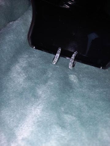 Zilverkleurig oorbellen Nieuw  beschikbaar voor biedingen