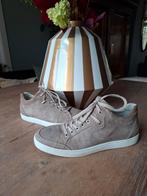 Artu napoli sneakers maat 42,5, Overige kleuren, Ophalen of Verzenden, Artu Napoli, Sneakers of Gympen