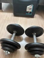 2 dumbbells 17,5 kg + set met extra gewichten en extra stang, Sport en Fitness, Ophalen, Gebruikt, Dumbbell
