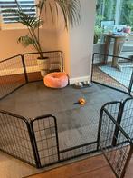 Honden / Puppy / dieren ren flexibel, Ophalen of Verzenden, IJzer
