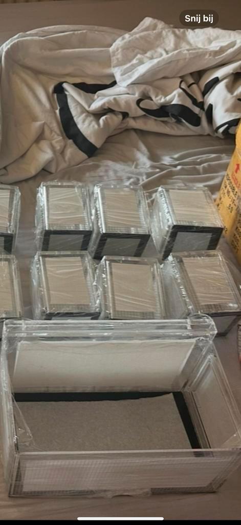 Shrimp - garnaal - boxes! Selectie!, Dieren en Toebehoren, Vissen | Aquaria en Toebehoren, Nieuw, Overige typen, Ophalen of Verzenden