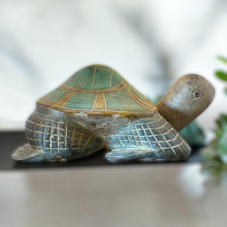 Schildpad gesneden in hout., Antiek en Kunst, Kunst | Beelden en Houtsnijwerken, Ophalen of Verzenden