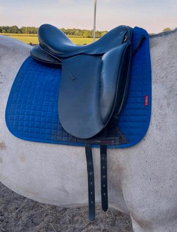 Dressuurzadel 17,5 inch beschikbaar voor biedingen