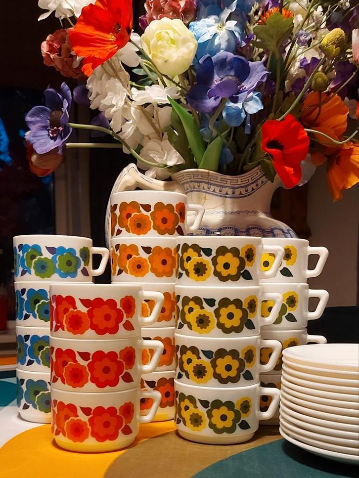 Arcopal Lotus Kop en Schotels - Retro!, Huis en Inrichting, Keuken | Servies, Gebruikt, Kop(pen) en/of Schotel(s), Overige stijlen