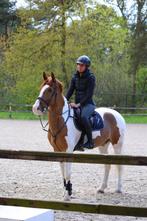 Verzorger gezocht, Dieren en Toebehoren, Stalling en Weidegang