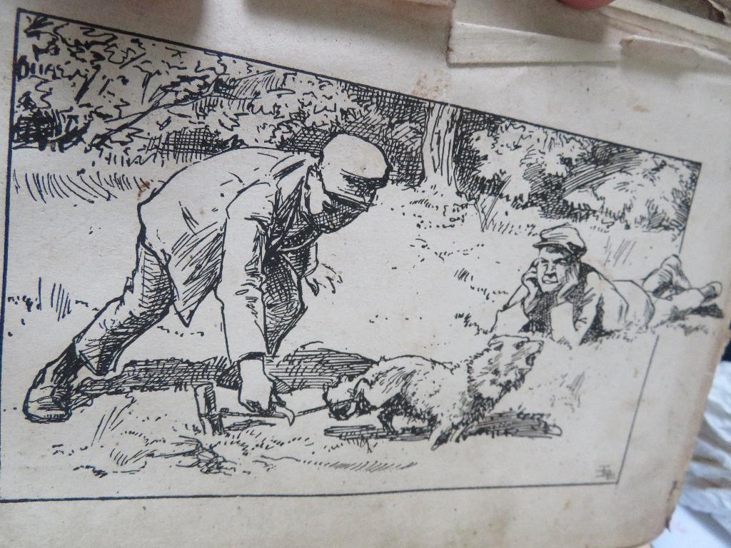 de Vondeling v Terheurne D.Steunenberg Louis Raemaekers 1908, Verzenden