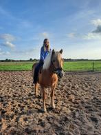 allround E pony gezocht, Dieren en Toebehoren, Ophalen of Verzenden