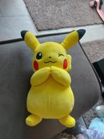 Pokemon, Ophalen of Verzenden, Zo goed als nieuw, Overige typen