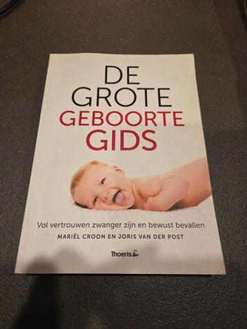 De Grote Geboorte Gids - Zwangerschap en Bevalling beschikbaar voor biedingen