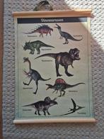 Schoolplaat Dinosaurus dubbelzijdig 70 x 100, Ophalen of Verzenden