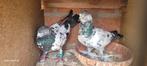 Duiven, Dieren en Toebehoren, Vogels | Duiven, Meerdere dieren