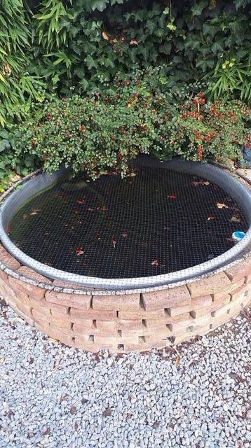 Kleine koi vijver incl filter en toebehoren  beschikbaar voor biedingen