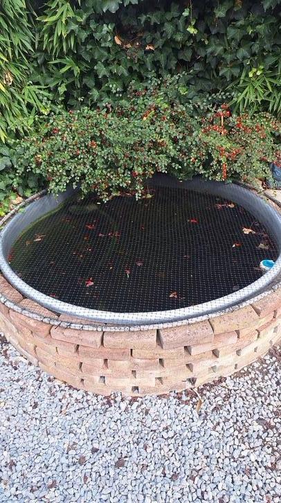 Kleine koi vijver incl filter en toebehoren, Tuin en Terras, Vijver-toebehoren, Zo goed als nieuw, Vijverfilter, Ophalen