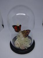 Mini stolp met 2 vlinders op schelp, Huis en Inrichting, Woonaccessoires | Stolpen, Nieuw, Ophalen of Verzenden