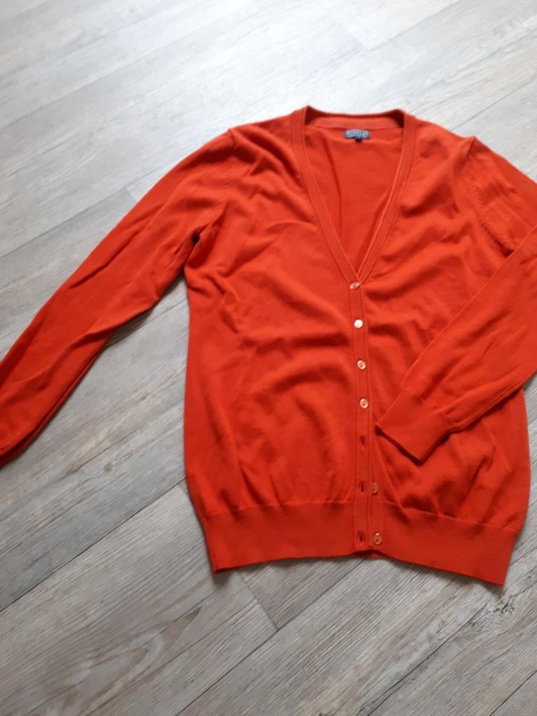 Nieuw oranje vestje ,roest kleur, Maat 42/44 (L), Nieuw, Oranje, Ophalen of Verzenden