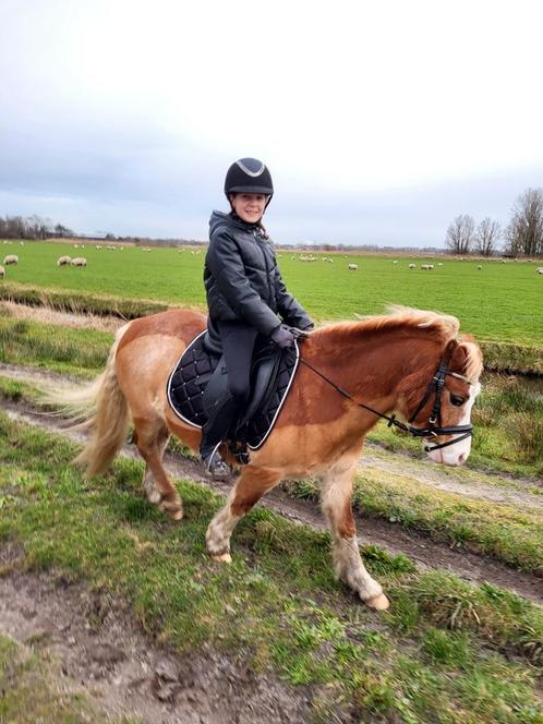 bijrijd-/verzorgpony gezocht, Dieren en Toebehoren, Paarden en Pony's | Overige Paardenspullen, Ophalen of Verzenden