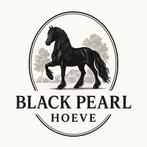Stal Black Pearl Hoeve, Weidegang