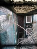 Voliere, Ophalen, Gebruikt, Metaal, Volière