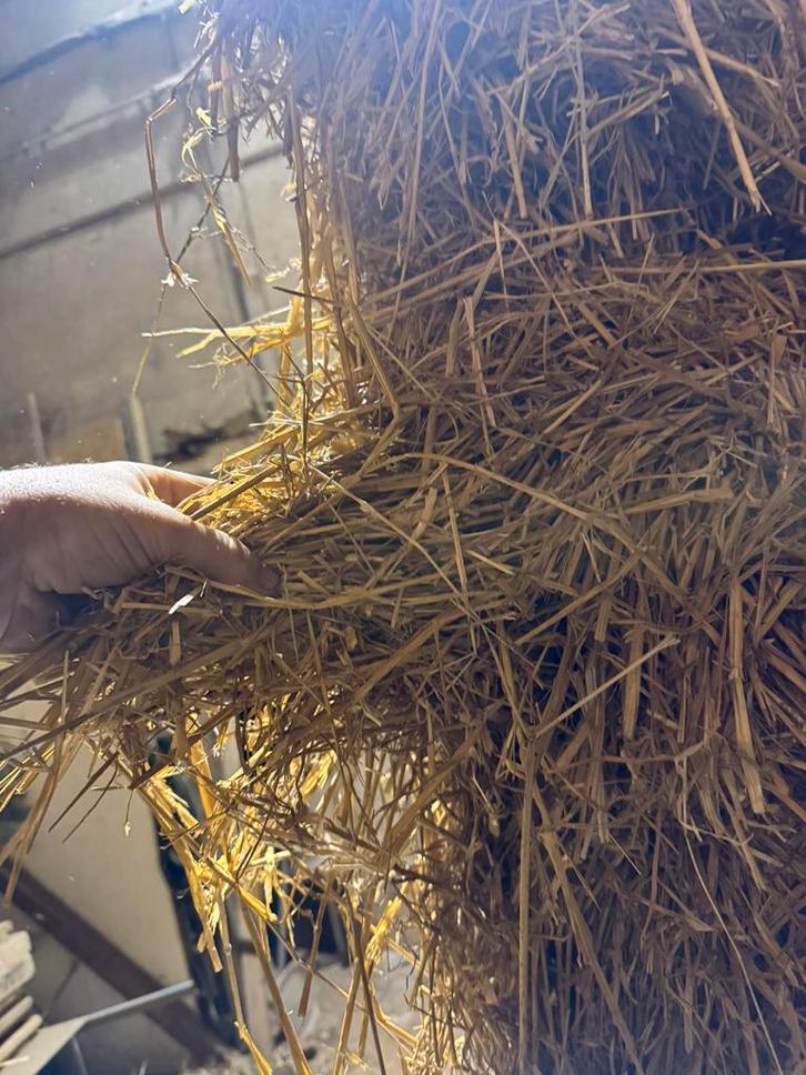 Tarwestro, Dieren en Toebehoren, Dierenvoeding, Vee, Ophalen