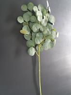 Kunst eucalyptus tak, Huis en Inrichting, Woonaccessoires | Kunstplanten en Kunstbloemen, *, *, Nieuw, Ophalen of Verzenden