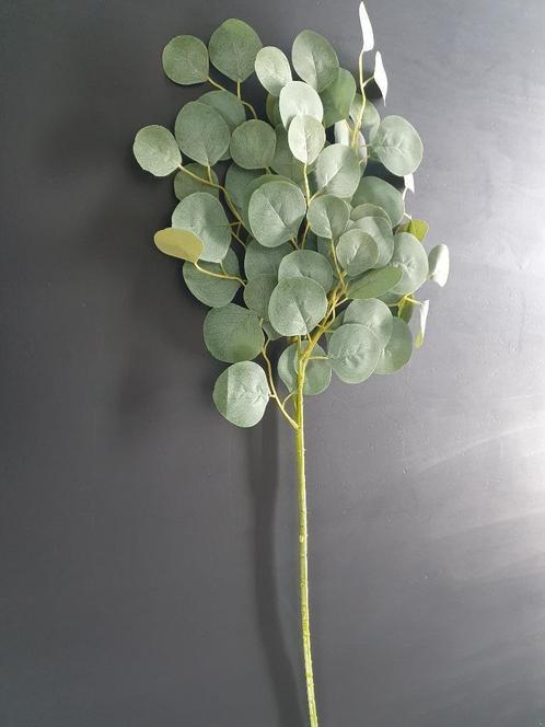 Kunst eucalyptus tak, Huis en Inrichting, Woonaccessoires | Kunstplanten en Kunstbloemen, Nieuw, Binnen, Buiten, Ophalen of Verzenden
