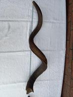 Unieke Shofar - Kudu Trofee. 97 cm in de lengte., Ophalen of Verzenden