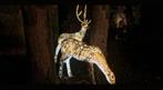 2 grote herten met verlichten, Ophalen, Gebruikt, Overige materialen, Dierenbeeld