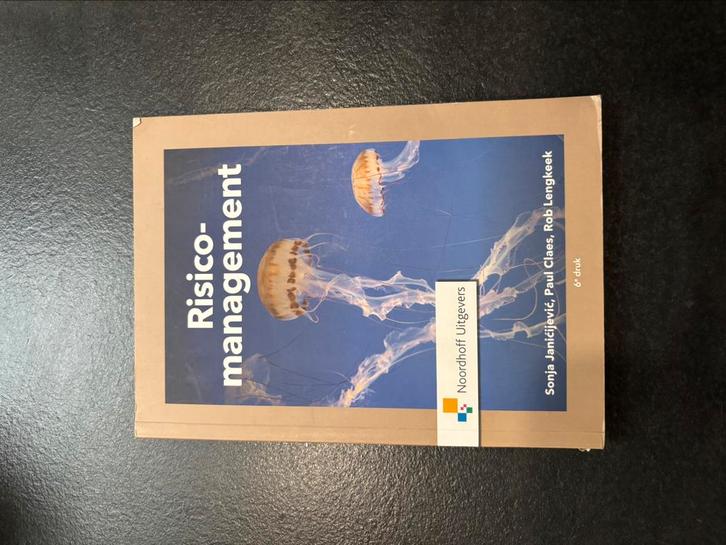 Paul Claes - Risicomanagement, Boeken, Wetenschap, Zo goed als nieuw, Ophalen of Verzenden