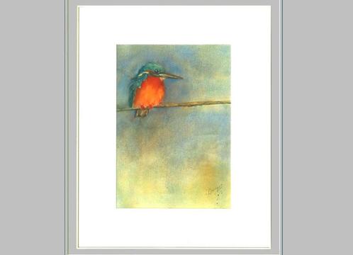 IJsvogel, aquarel, schilderij, Antiek en Kunst, Kunst | Schilderijen | Modern, Ophalen of Verzenden